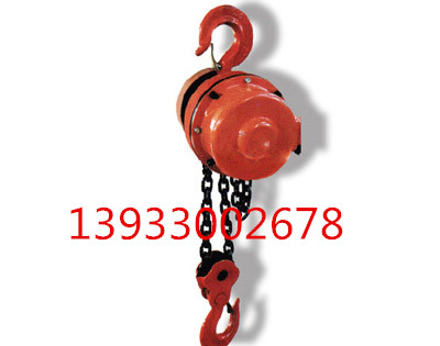 5tDHP環鏈電動葫蘆（5噸）_副本.jpg